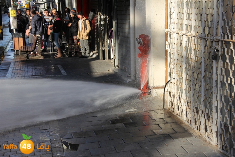 naforea jsadsah (4).JPG